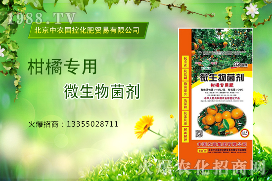 柑橘怎么施肥？施什么肥？柑橘專用肥有哪些？