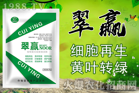 �O(p��ng)������������