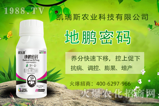 �P��˹�r(n��ng)�I(y��)��ô�ӣ��P��˹�r(n��ng)�I(y��)����a(ch��n)Ʒ����Щ��