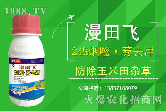 24%���ס�ݬȥ�����Ч���Æ���24%���ס�ݬȥ����ʲô���c(di��n)��