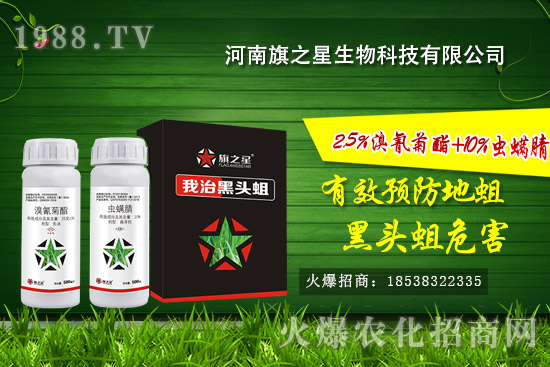 ������֮����ô�ӣ�������֮�ǚ����a(ch��n)Ʒ����Щ��