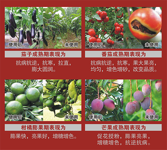 �͑�(h��)�����D