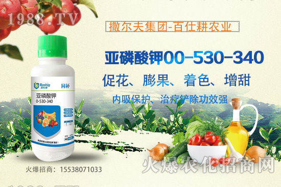 營(yíng)養(yǎng)控梢,預(yù)防潰瘍!亞磷酸鉀真的這么牛嗎?亞磷酸鉀作用原理!