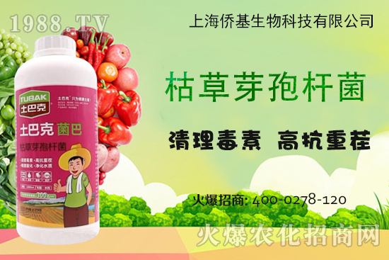 �Ϻ��S�������Ϳˡ�-��ע�����������غ������ޏ�15����