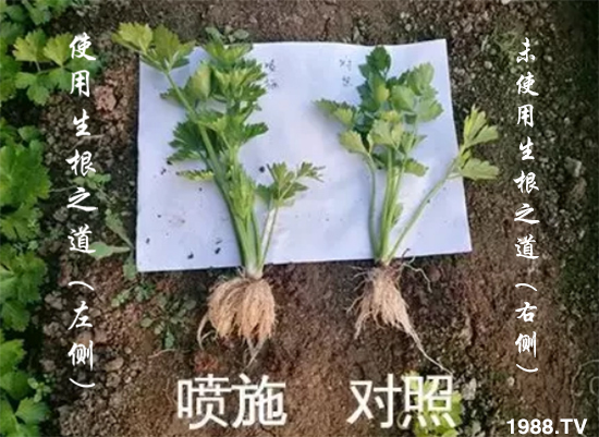 �����ϵ�����a(ch��n)������������֮���������¸����������a(ch��n)�o�n��