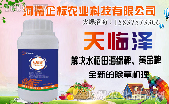 ���ݰ����ݙC(j��)�������ݰ��ܷ�����Щ����ʹ��ע�����(xi��ng)����Щ��