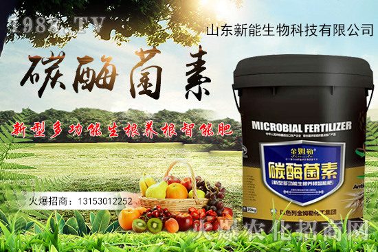 һ�ʶ������ЙC(j��)̼+����ø+�����+�I�B(y��ng)Ԫ����̼ø������ʲô������