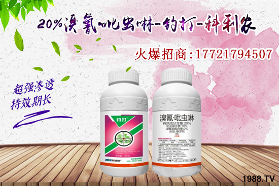 �������x���l(f��)̫���������x��ô��Ч���������x���η�������Щ��