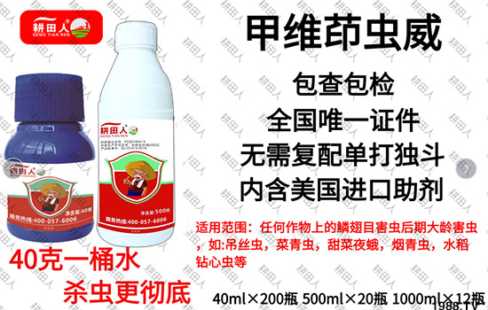 ����Ʒ�r(n��ng)ˎ�������¼Z�}������������ô�������x���a(ch��n)Ʒ����Щ��