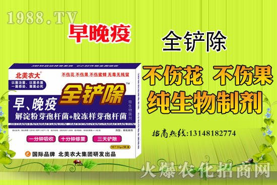 ������Σ�������������߷��δ�ʩ����Щ��