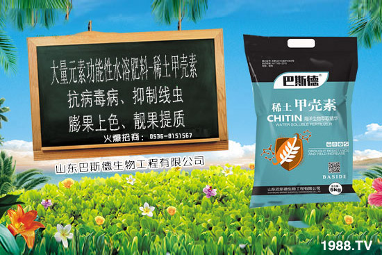 ϡ���ך�����ʲô����ϡ���ך������c����������ʲô������