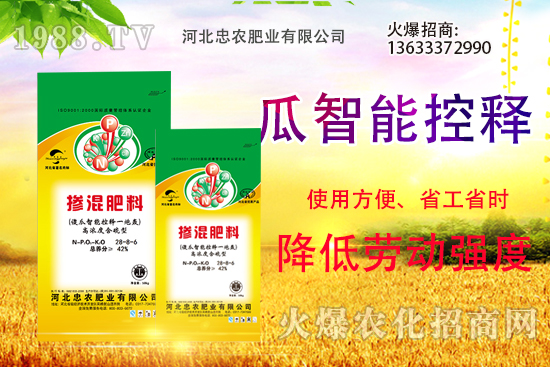 �������������Щ������ʵ�ʹ�÷�����ԓ����xُ��