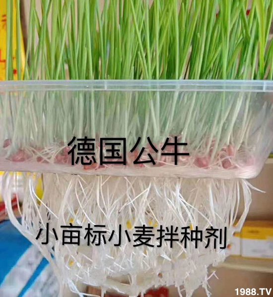 С����N�����a(ch��n)��С����N������x����С����N��Ʒ���x��