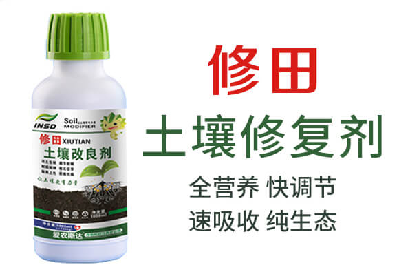 �����ޏ�(f��)��-����-���r(n��ng)˹�_(d��)_03