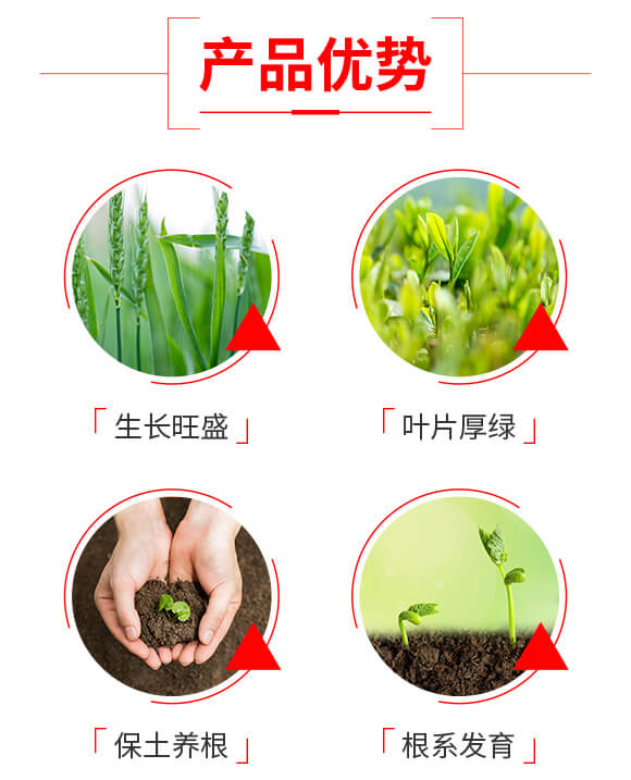 ��������-Ψ��-�Ź��r(n��ng)�I(y��)_03