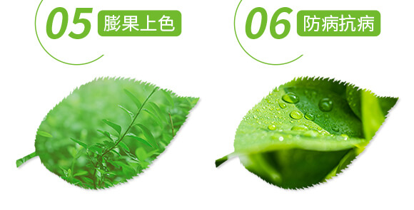 �����ޏ�(f��)��-����-���r(n��ng)˹�_(d��)_06