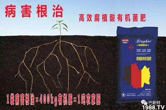     ���׌�Nֲ׃�ø��p����һ���ײ���ȫ���䷽����˹�ش󽪠I�B(y��ng)�ײͷ�����