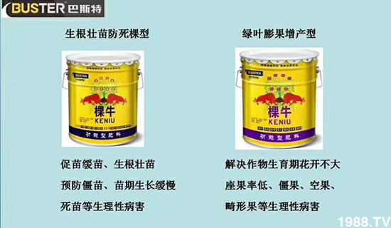     ���׌�Nֲ׃�ø��p����һ���ײ���ȫ���䷽����˹�ش󽪠I�B(y��ng)�ײͷ�����