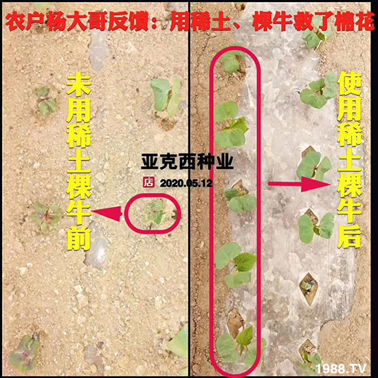     ���׌�Nֲ׃�ø��p����һ���ײ���ȫ���䷽����˹�ش󽪠I�B(y��ng)�ײͷ�����