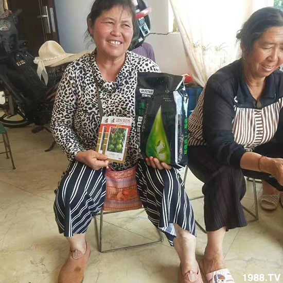     ���׌�Nֲ׃�ø��p����һ���ײ���ȫ���䷽����˹�ش󽪠I�B(y��ng)�ײͷ�����