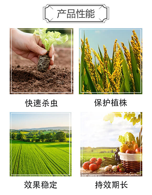 6%�ľ���ȩ��500�ˣ�-��(zh��n)��-�P�Z����_04