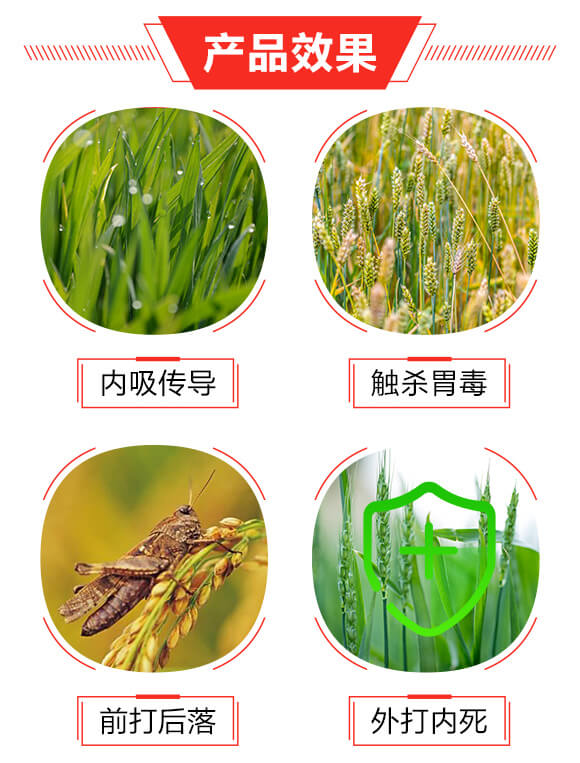 20%���衤���x����200ml��-��ϲ-�����__03