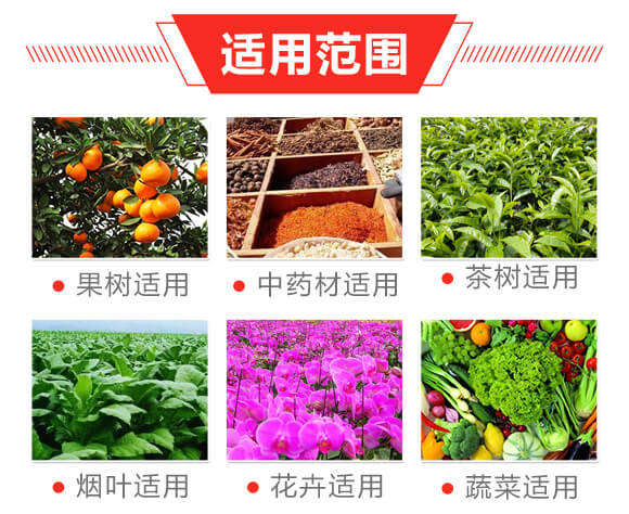 20%���衤���x����200ml��-��ϲ-�����__04