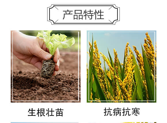 ����ֲ�����-��С��_04