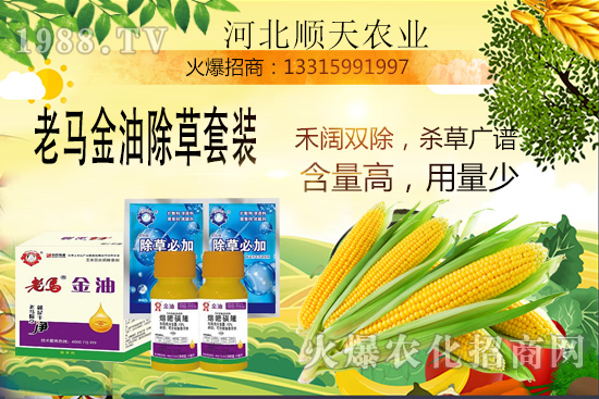 ����������������Ч�������׳����P(gu��n)�I�c(di��n)��R����