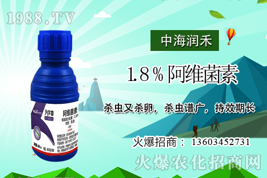 斜紋夜蛾高發(fā)期，防治工作迫在眉睫！斜紋夜蛾如何用藥？