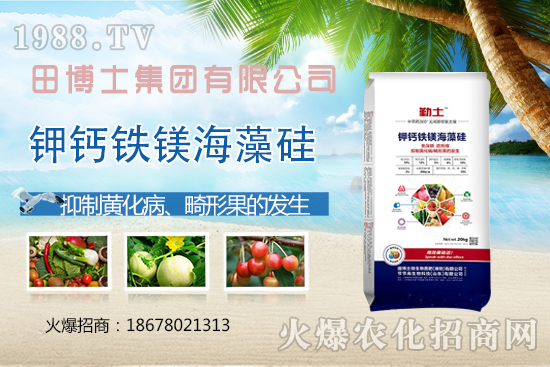 Խ�ķ��ѻ��ι����a(ch��n)���ϲ�ȥ�����η��ѻ��ι����@ЩҪ�I(l��ng)��������