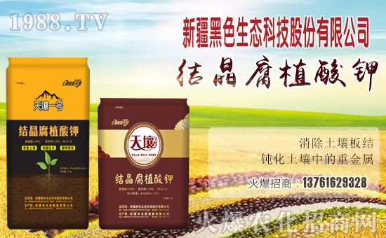 �Y����ֲ��⛺���