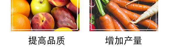 ���ɺ��塤�ЙC(j��)����-ِ����_(k��i)07