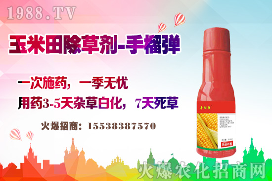 ������������v�������׳��݄��@�Ӵ������L(zh��ng)�s�ݲ�������