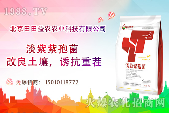 ���t��������c(di��n)����Щ�����t���ļ���ι�����