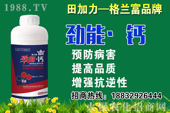 2020���}��ʲô�r(sh��)��N�����}���NֲҪע����Щ���}��