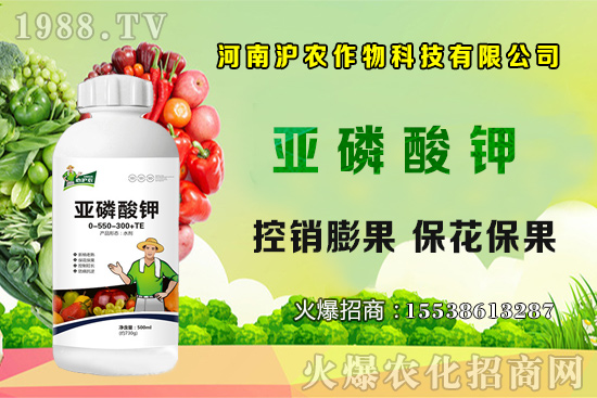 ���[����Ҫ�c(di��n)��֪���������[��Ҋ(ji��n)���x(ch��ng)������Щ����η�����