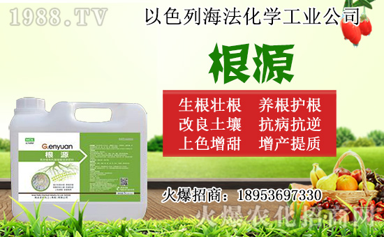 �o(w��)������ôǤ�����o(w��)����Ǥ��r(sh��)�g��Ǥ�己ֳ������