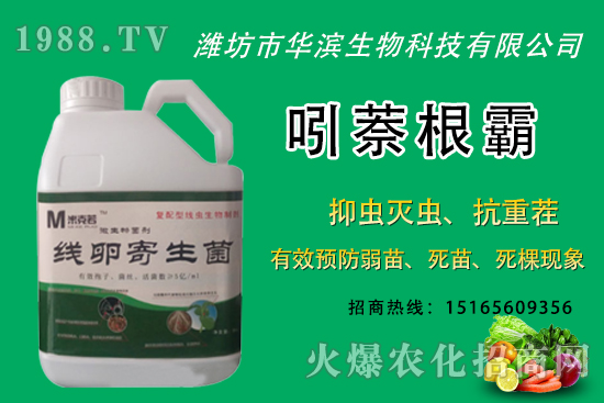 �o�����NֲʲôƷ�N�^�ã��o����Ƥ���ԳԆ����Nֲǰ�����ӣ�