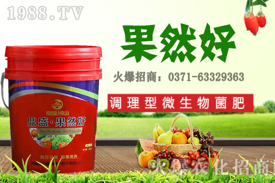 秋季適合種植哪些花卉？秋天播種六種花卉品種推薦！