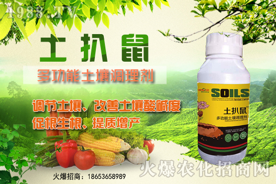 檳榔苗什么時(shí)候種植?檳榔苗怎么選?種植深度怎么算?