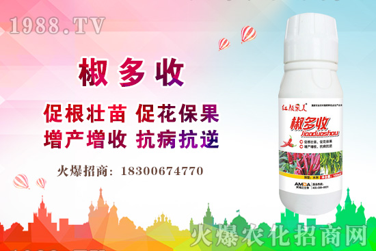 С���r������Xһ����2020�����С���r��߀���ϝq����