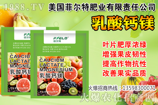 ���Ѳ��պ���α��r�����Ѳ��պ���@ע�����(xi��ng)��