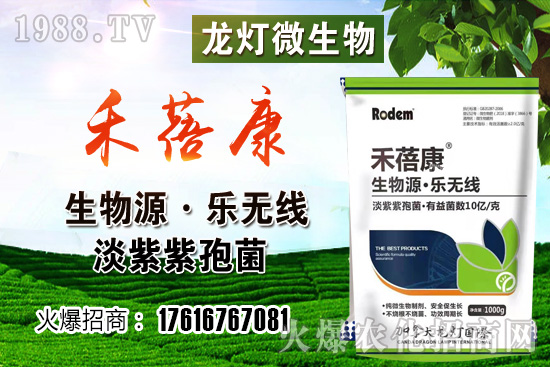 ���t���ڷ۷����������t��¶��ʹ���Nֲ�кβ�ͬ��