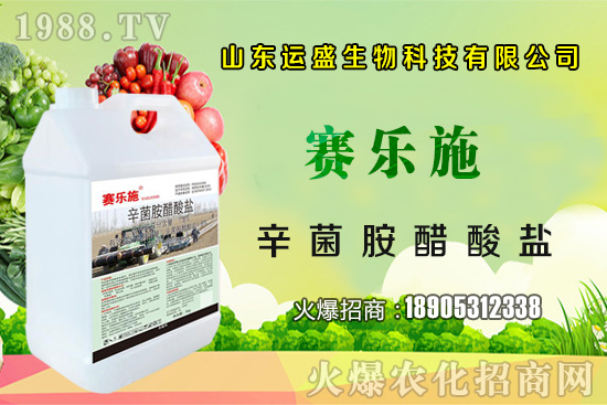 �����Ә���ڷ۷����������Ә���ζ�������