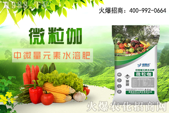 ����ԓ��ô��������������r�g������ע��Ҫ�c��