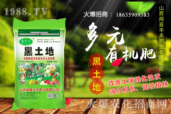 生姜如何選種，生姜什么時候種植？種植前需注意哪些問題？