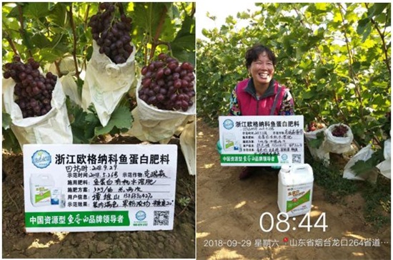 �͜ؾ����~���׷�