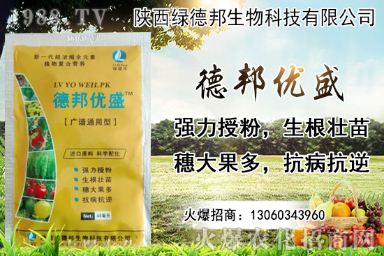 �����r������Xһ���������Nֲ�ĭh(hu��n)�������x������