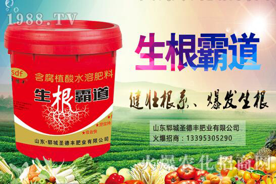 ������(sh��)�Nֲ����(ji��)��ʲô�r(sh��)����������(sh��)�Nֲ��������Щ��